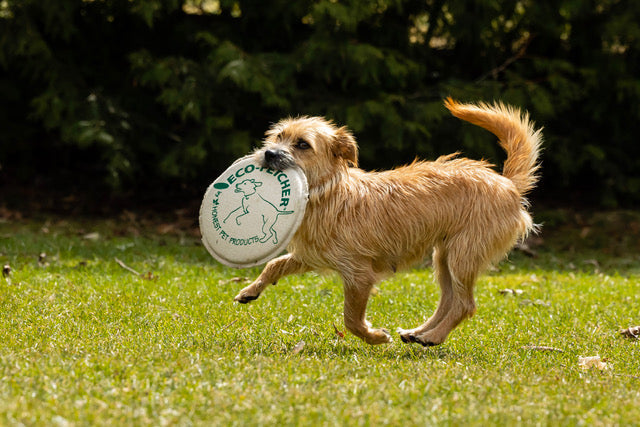 Choosing Handmade Products Matters: A Closer Look at Honest Pet Products - Honest Pet Products