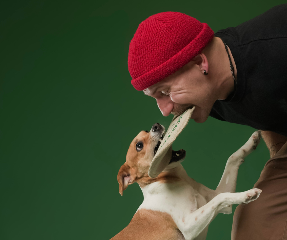 Make the Most Out of Play Time for You and Your Dog with Honest Pet Products - Honest Pet Products