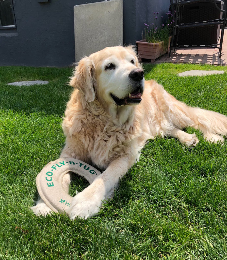 Honest Pet Products