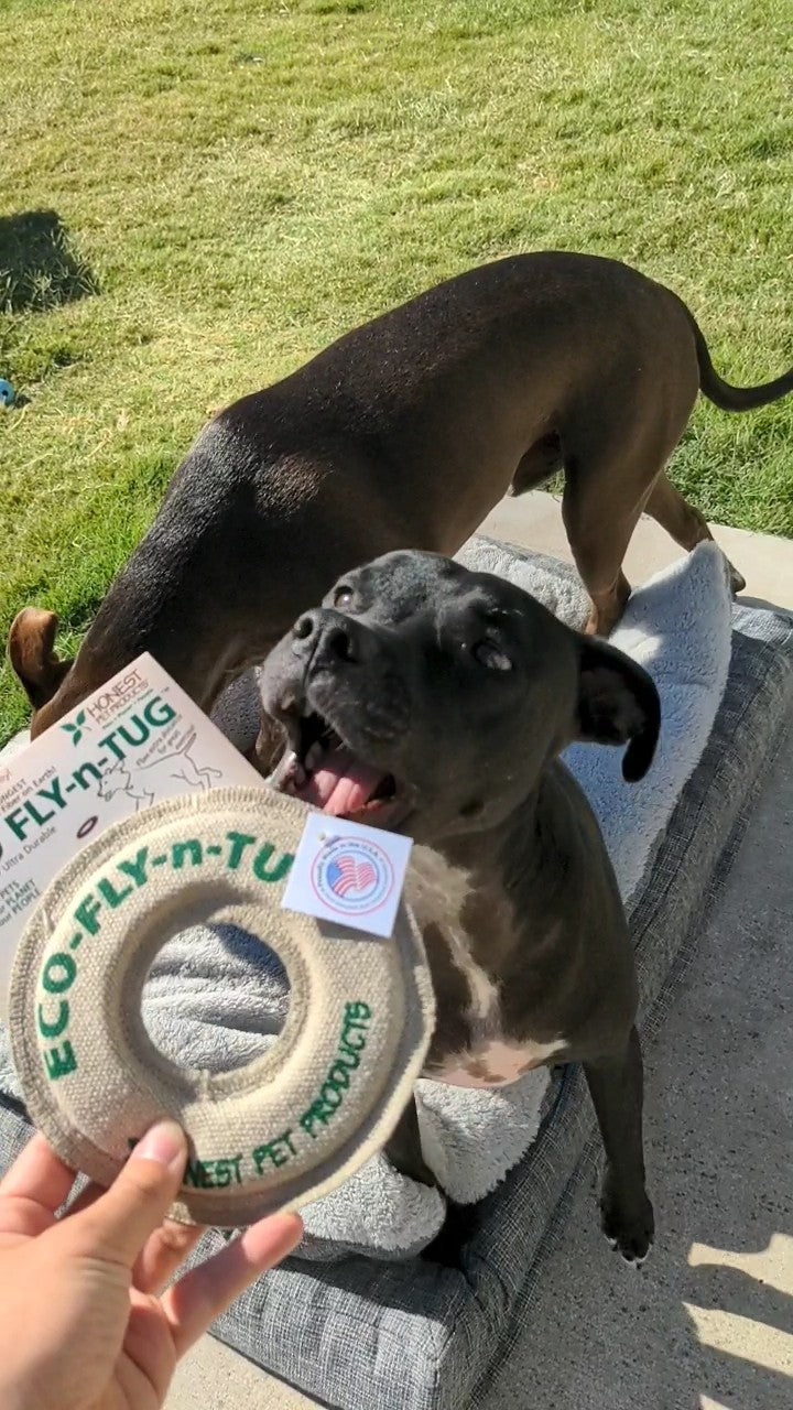 Interactive Dog Toys