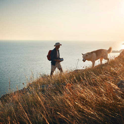 Sustainable Sourcing: The Journey Of Our Eco-Friendly Pet Product - Honest Pet Products