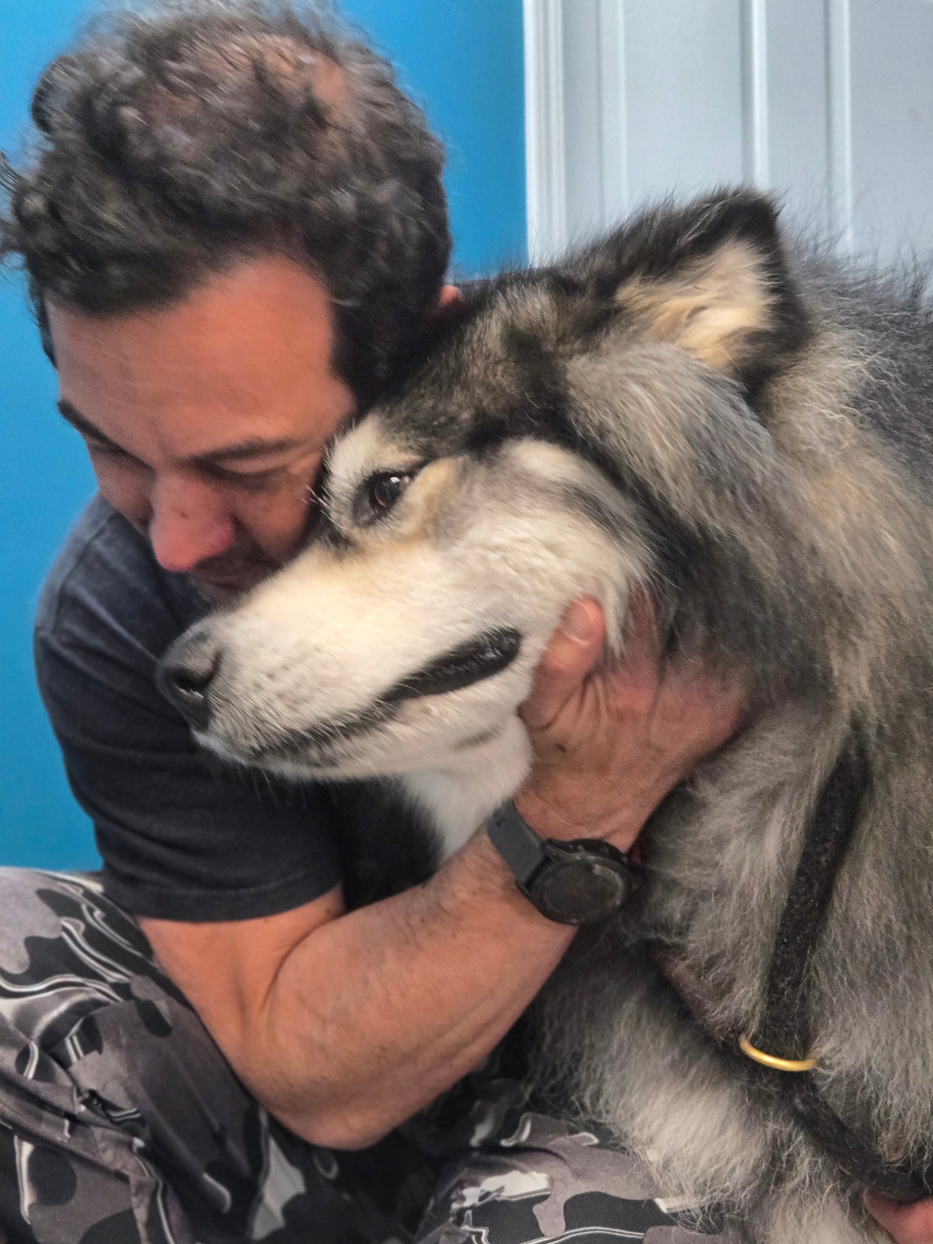 Honest Pet Products