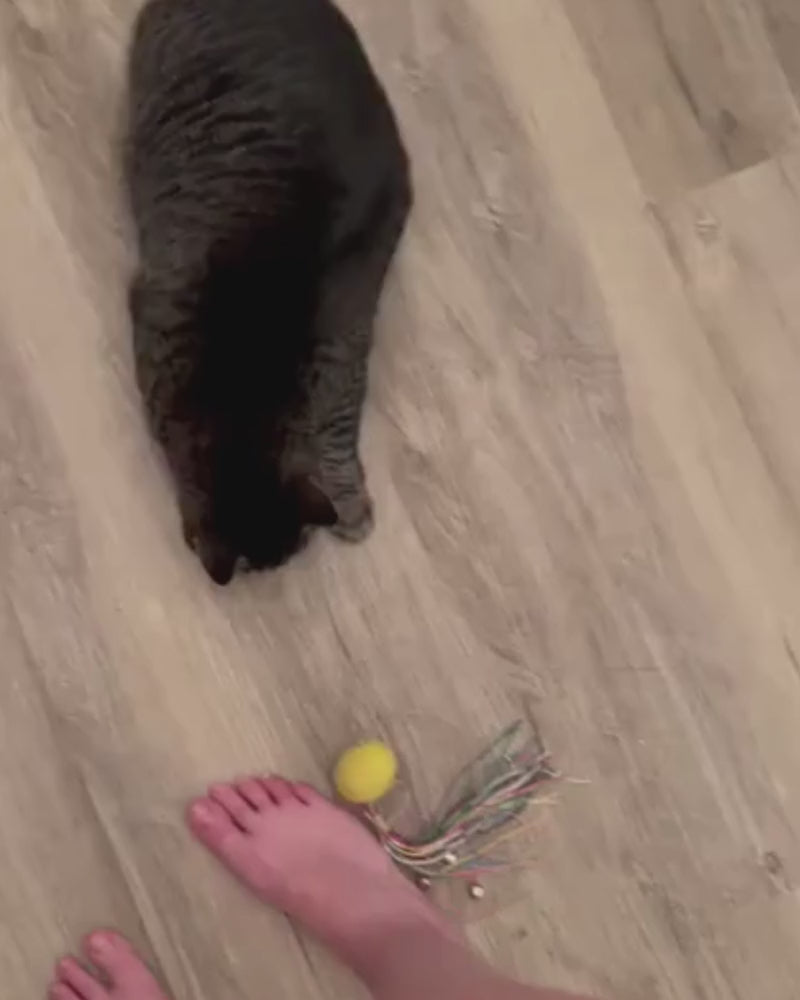 CAT TOY - KITTY COMET