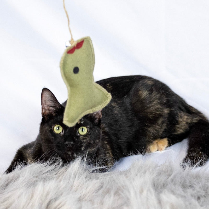 Cat fish toy