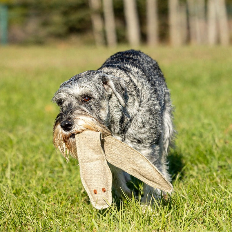 DOG TOY - RATTLER