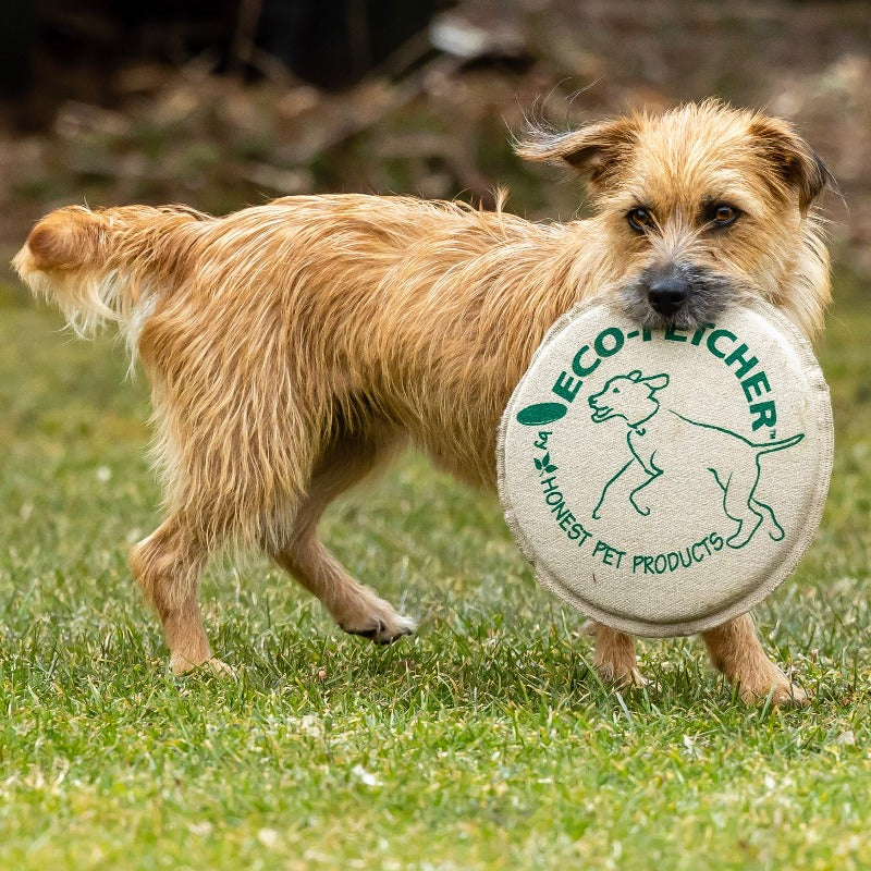 DOG TOY FETCHER