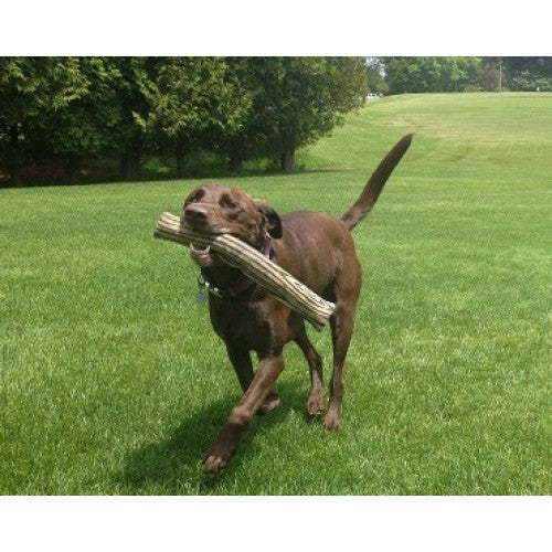 DOG TOY FETCH STICK